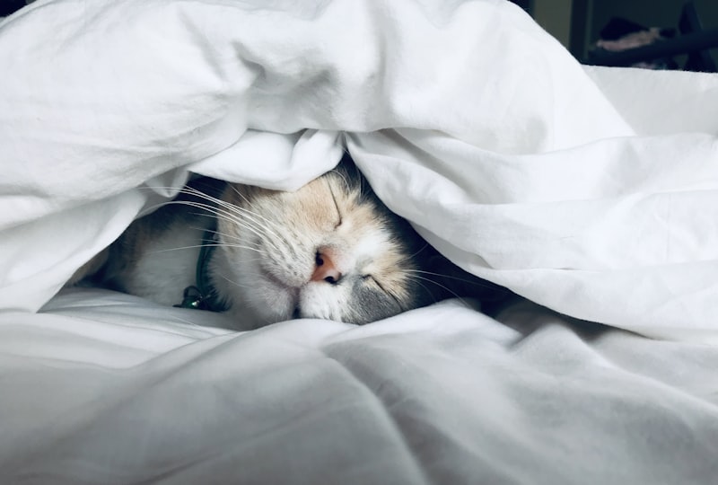 Sleep apnea